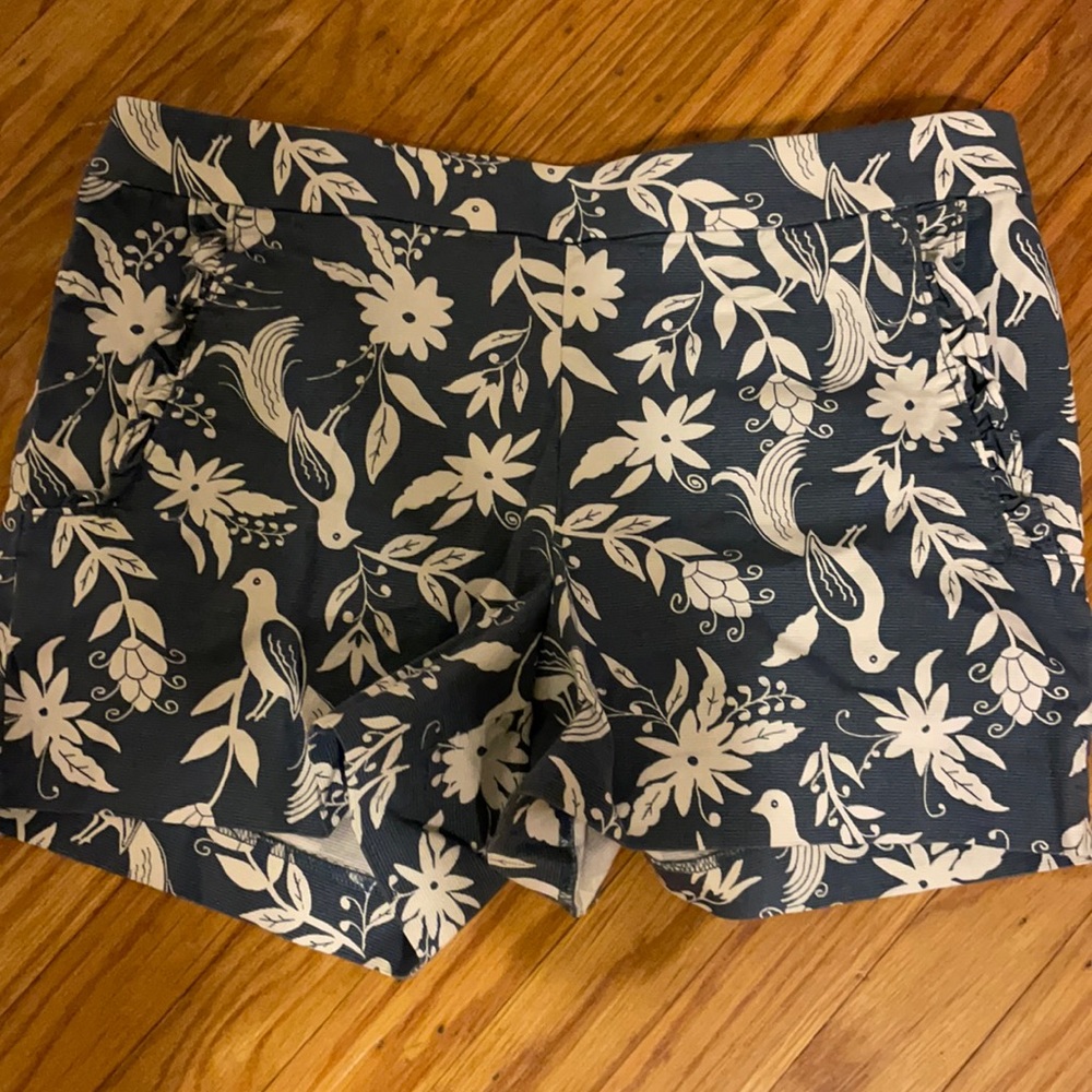 LOFT Shorts
